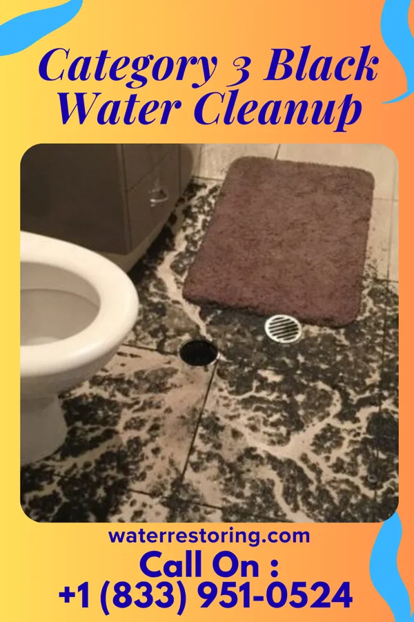 Category 3 Black Water Cleanup in Delaware Park, NJ