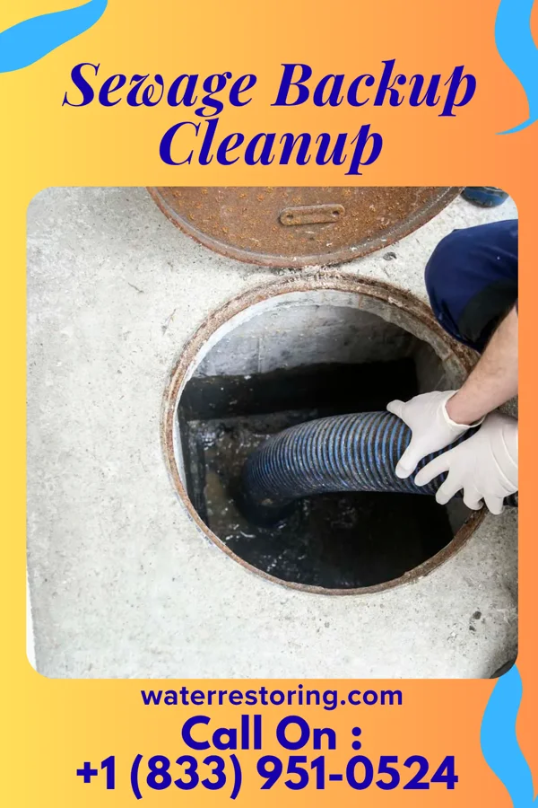 Sewage Backup Cleanup in Delaware Park, NJ