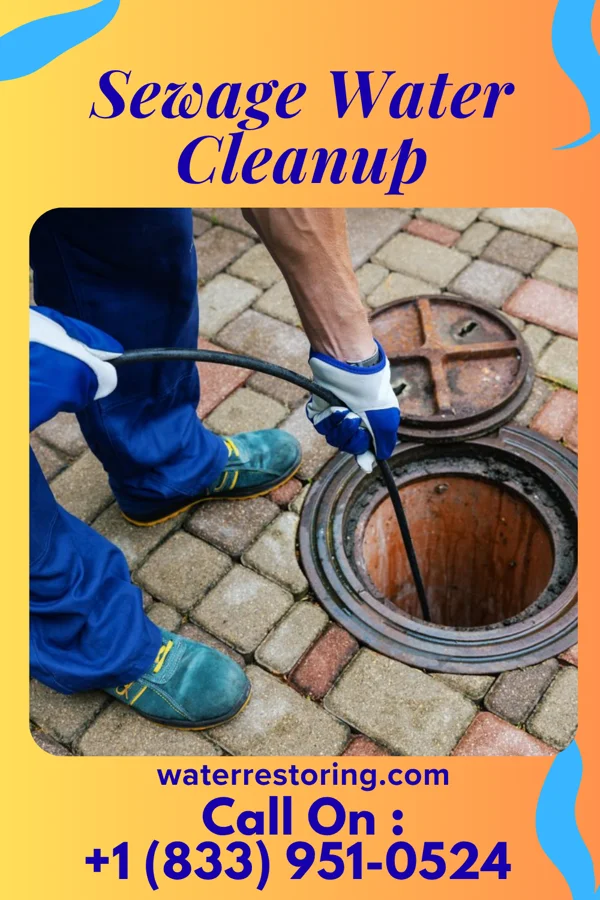 Sewage Water Cleanup in Delaware Park, NJ