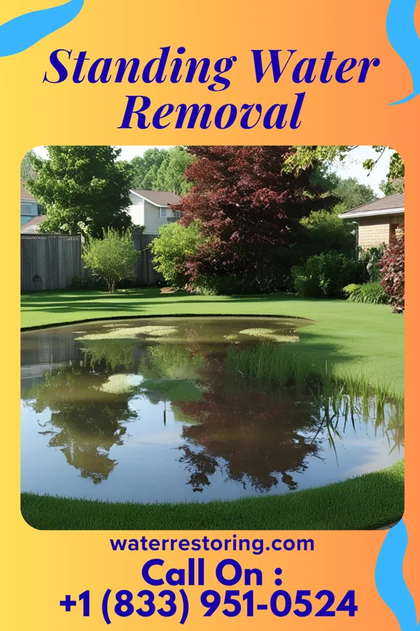 Standing Water Removal in Delaware Park, NJ